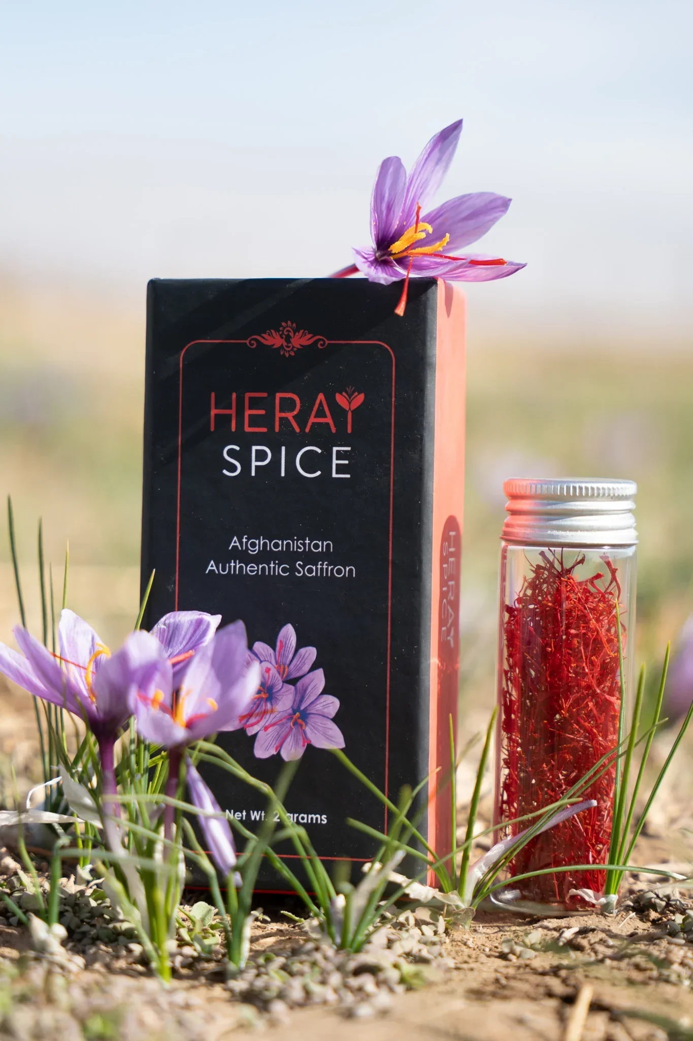 4 Grams (0.14 Oz) Heray Saffron, Afghani Superior Negin Quality - Image 11