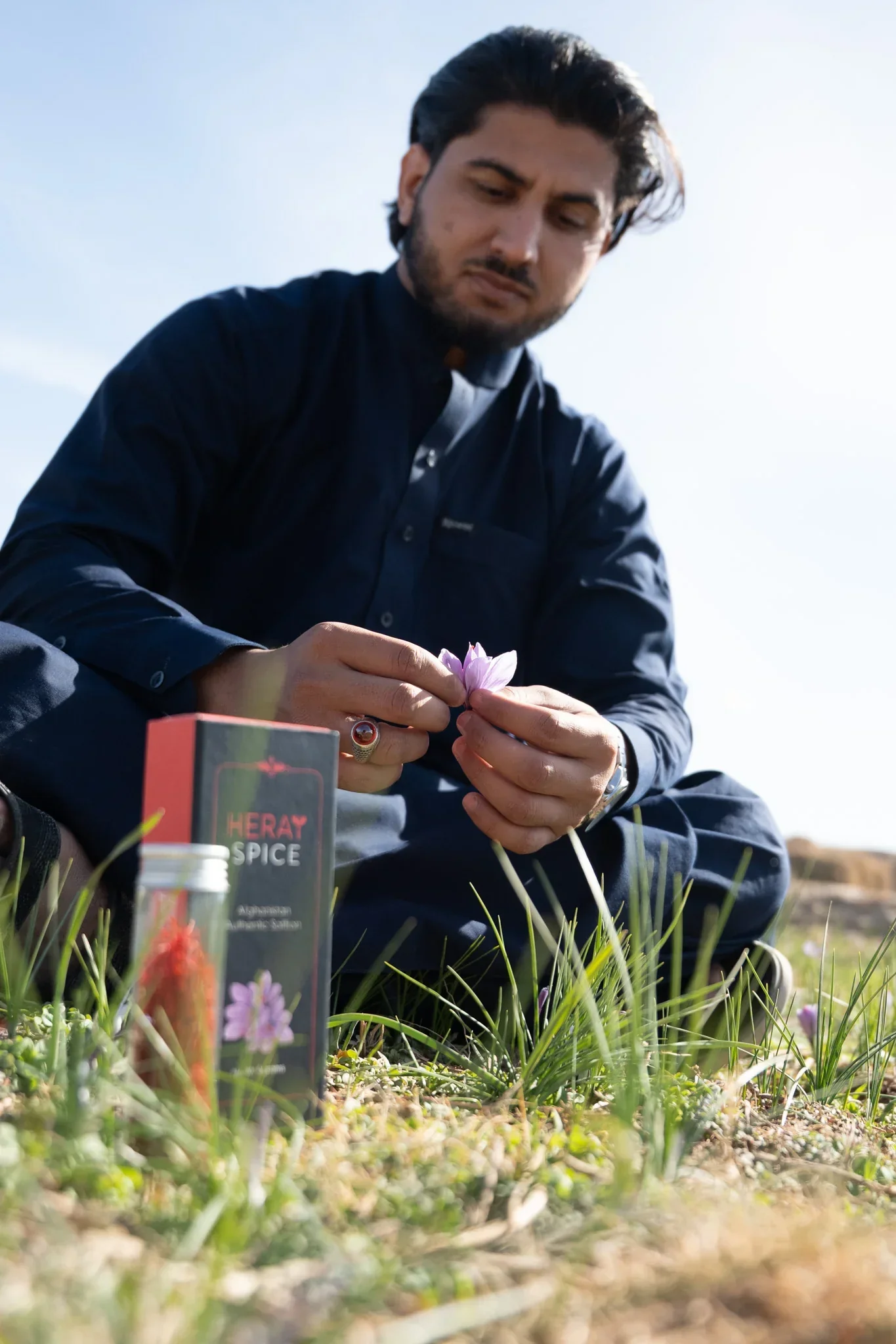 Gift Box Trio (A Jar of each Premium Saffron, Green Cardamom, Herati Mint Leaves) - Image 10