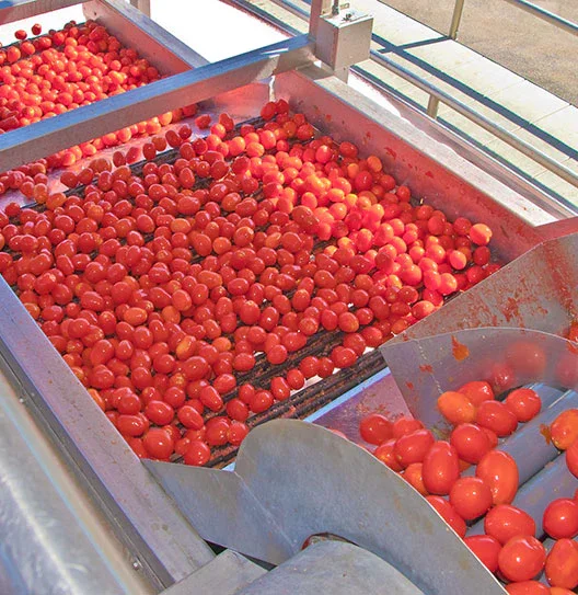 Sun-Dried Tomato Ultra Finely Diced  Granulated - Image 5